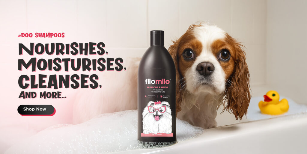 shampoo final copy